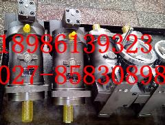 A2Y-Hb65B液控單向閥，24EC-B10H-ZZLH