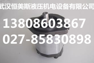 VQ25-43-L-R葉片泵,GPA3-63-63-EK1-20R齒輪泵