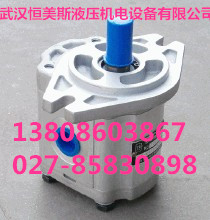 VQ25-38-F-L葉片泵,GPA2-10-10-E-20R6.3齒輪泵